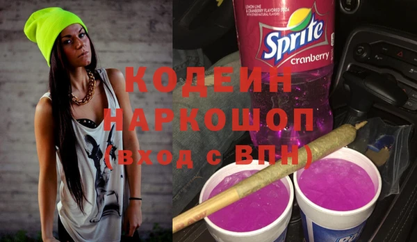 гидра Снежногорск