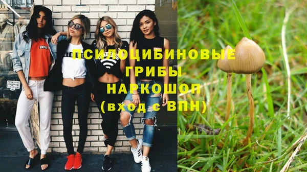гидра Снежногорск