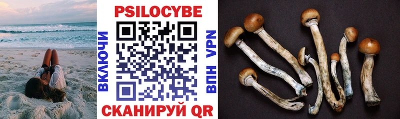 Псилоцибиновые грибы GOLDEN TEACHER  где купить наркотик  Павловский Посад 