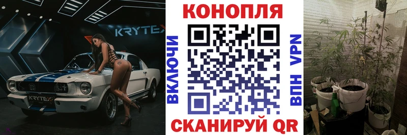 Бошки марихуана марихуана  наркотики  Павловский Посад 